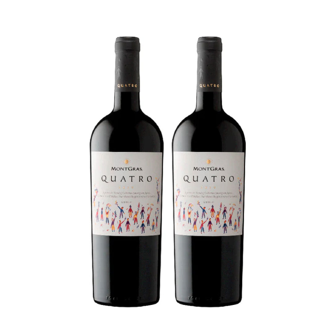 2x Vino Montgras Quatro 750 ml