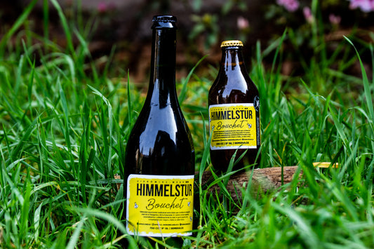 Hidromiel Apigold Himmelstür Bouchet 750 ml