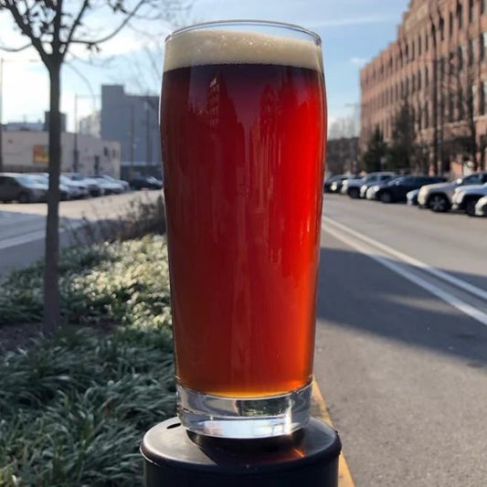 Cerveza Hasta Pronto Mientras Tanto Amber Ale 473cc