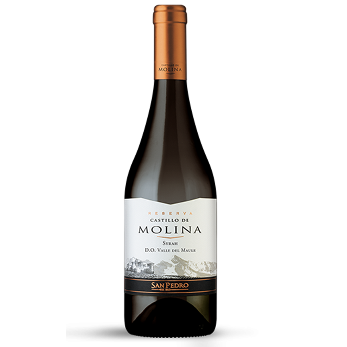 Vino Castillo de Molina Gran Reserva Syrah 750ml