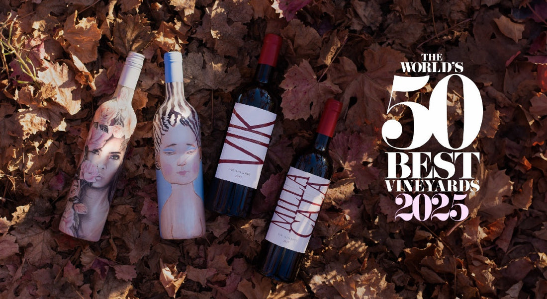 Viña chilena es elegida la mejor del mundo en The World’s 50 Best Vineyards 2025