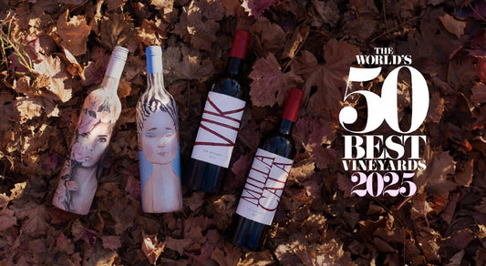 Viña chilena es elegida la mejor del mundo en The World’s 50 Best Vineyards 2025
