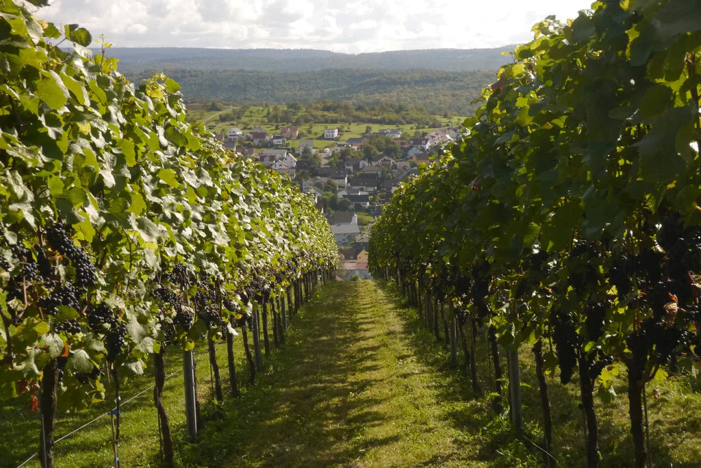 Legado Carmenere de De Martino es elegido entre los mejores vinos del 2021 en Chile