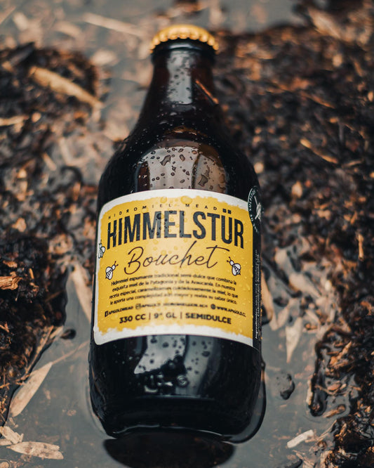 Hidromiel Apigold Himmelstür Bouchet 330 ml